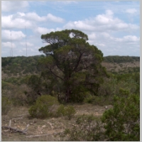 HPIM0558.JPG